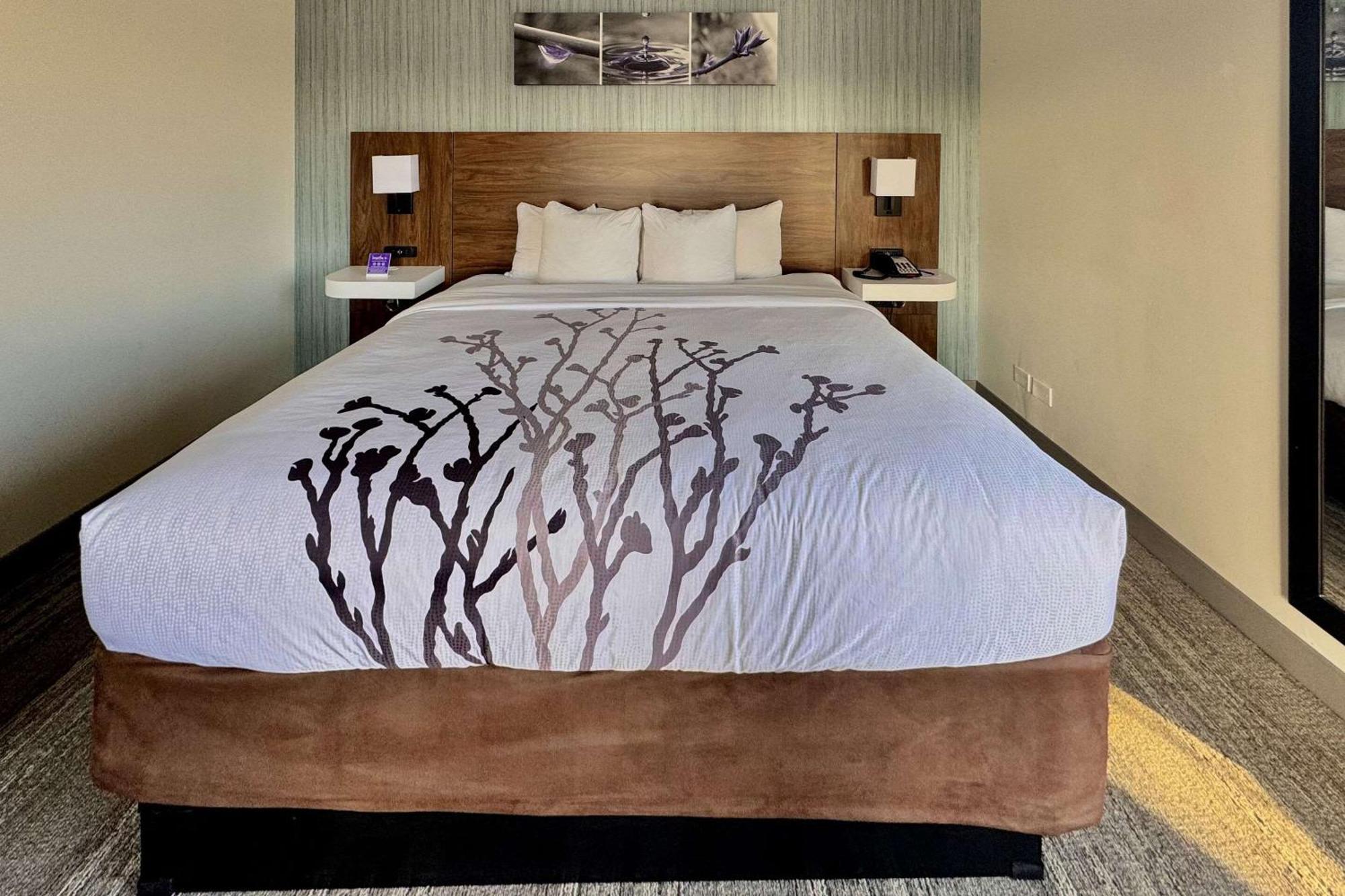 Sleep Inn OakBrook Terrace - Chicago Buitenkant foto